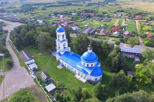 альбатрос